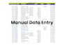 do data entry, ms excel data entry, excel data cleaning and formatting